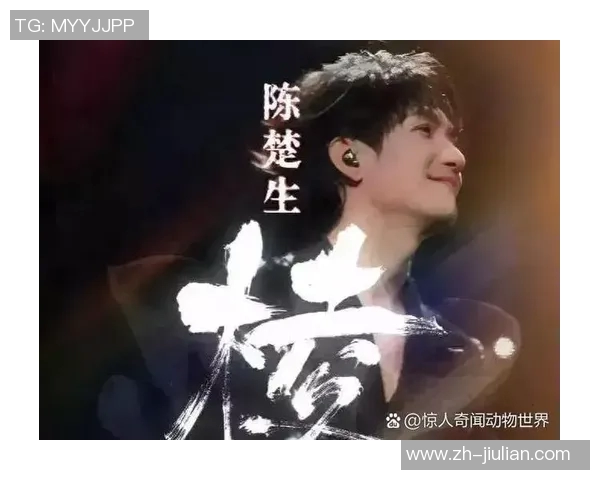 重庆羽毛球队逆袭之路：从低谷到巅峰的精彩反击解析