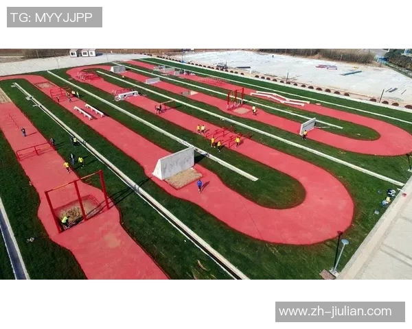 专访吴强：深入探讨排球背后的成功秘诀与团队协作之道